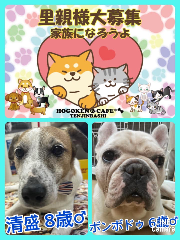 🐾今日の里親様募集中ワンコ🐶メンバーです🐾2021,3,25